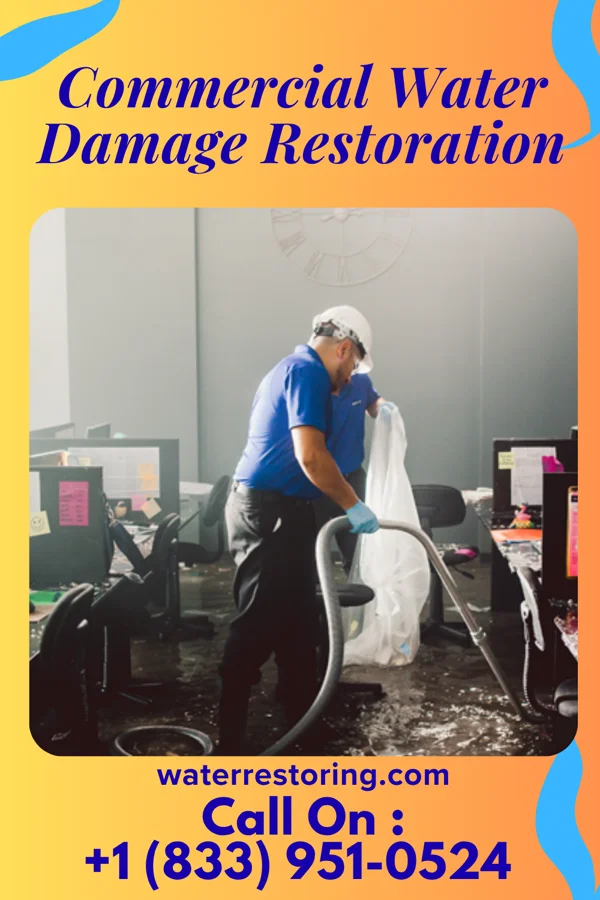 Commercial Water Damage Restoration in Pecan Grove, TX