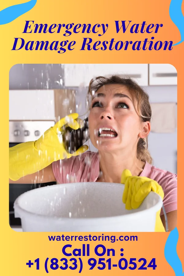 Emergency Water Damage Restoration in Pecan Grove, TX