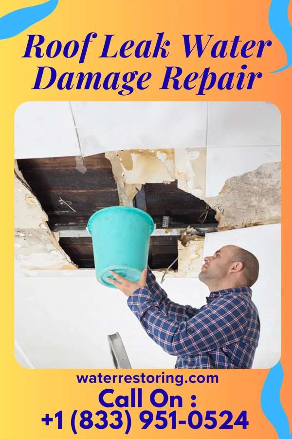 Roof Leak Water Damage Repair in Pecan Grove, TX